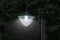 Hyundai Lighting - LED lantaarn met bloemenpot - Rond