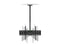 Red Eagle Wall/Ceiling Mount for LED-TV - CINEMA PLUS 32-70