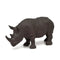 dieren Jungle