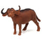 dieren Jungle