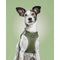 Hondentuigje Gloria 45-47 cm Groen M 32,8-35,4 cm