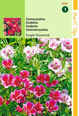 2 stuks - Hortitops - Godetia Hybrida Enkelbloemig Gemengd