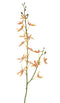 Driesprong Collection - Cattleya orchidee 82 cm kunstbloem zijde nepbloem II