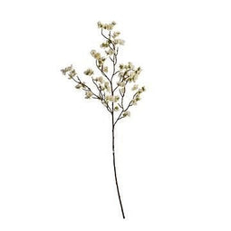 Jasaco - Bloesemsteel l103 cm creme kunstbloem zijde nepbloem