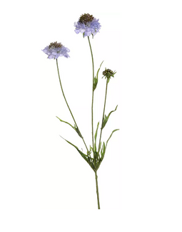 Jasaco - Scabiosasteel l66 cm blauw kunstbloem zijde nepbloem
