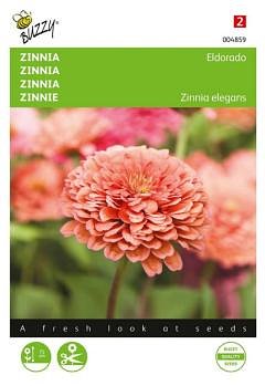 Buzzy - Zaden zinnia eldorado 1 gram