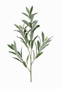 Decostar - Olea l5b20h80 cm groen kunstbloem zijde nepbloem