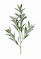 Decostar - Olea l5b20h80 cm groen kunstbloem zijde nepbloem