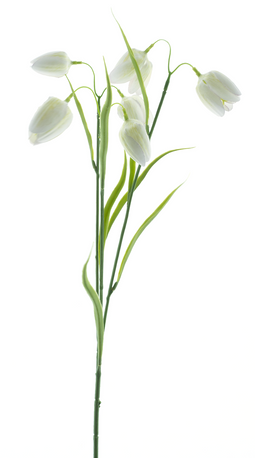 Nova Nature - Fritallaria spray white 60 cm kunstbloem