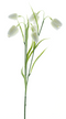 Nova Nature - Fritallaria spray white 60 cm kunstbloem
