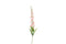 Decostar - Campanula roze kunstbloem zijde nepbloem