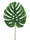 Nova Nature - (Best) Monstera leaf Futura small 46cm green