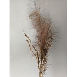 Buitengewoon de boet - Pampas gras bosje met blad 75cm -bruin