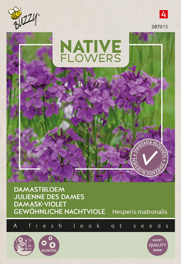 Buzzy - Zaden damastbloem 0,25g