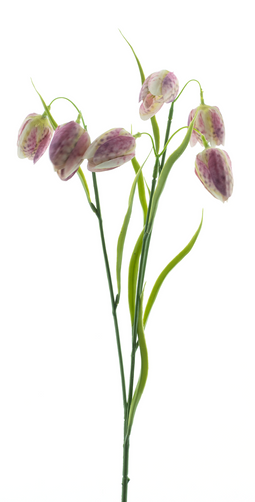 Nova Nature - Fritallaria spray pink 60 cm kunstbloem