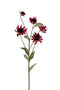 Louis Maes - Echinaceasteel l73 cm dk rood kunstbloem zijde nepbloem