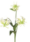 Driesprong Collection - Lelie gloriosa klimlelie 'mini', met bloemen bladeren creme/geel kunstblo...