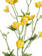 Driesprong Collection - Boterbloemspray shiny 68 cm x12flrs, 3knp 7lvs kunstbloem zijde nepbloem