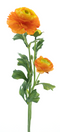 Nova Nature - Ranunculus spray New Orleans orange 64 cm kunstbloem