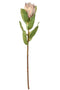 Louis Maes - Proteasteel l47 cm bordeaux/groen kunstbloem zijde nepbloem