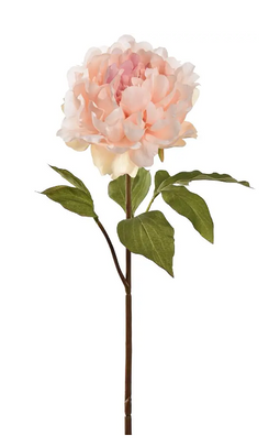 Jasaco - Pioensteel open l57 cm creme/roze kunstbloem zijde nepbloem