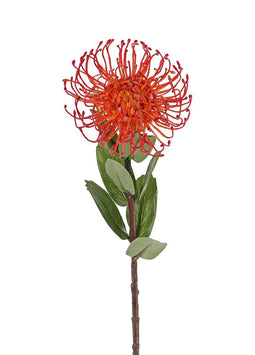 Driesprong Collection - Leucospermum cordifolium oranje kunstbloem zijde nepbloem