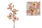 Countryfield - Dogwood tak Fiona S roze