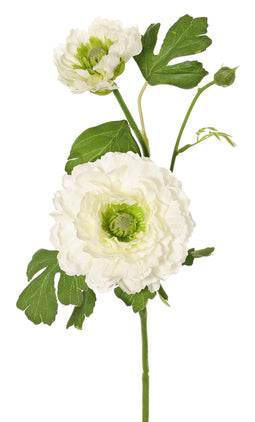 Driesprong Collection - Ranonkel, 2x vertakt met bloemen knop wit kunstbloem zijde nepbloem