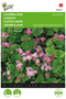 Buzzy - Zaden ageratum leverbalsem pink ball 0.2 gram