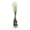 Louis Maes - Narcis met bolletjes l25 cm wit kunstbloem zijde nepbloem