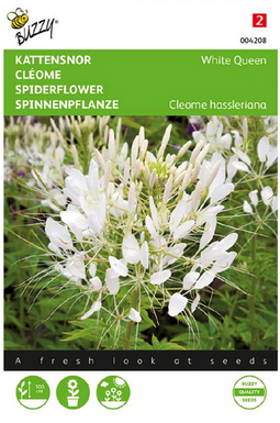 Buzzy - Zaden cleome kattensnor white queen 0.5 gram