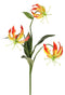 Driesprong Collection - Lelie gloriosa klimlelie 'mini', met bloemen bladeren fuch/oran kunstbloe...