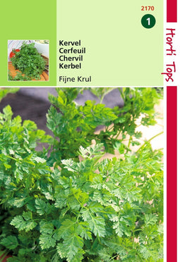 2 stuks - Hortitops - Kervel Fijne Krul