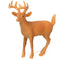 dieren Jungle