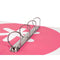 Ringmap Antartik AW62 Roze