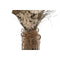 Boeket Home ESPRIT Multicolour Natuurlijk Kristal Gedroogde bloem 20 x 10 x 50 cm (3 Stuks)