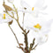 Decoratieve plant Polyester Polyethyleen Ijzer 22 x 22 x 38 cm Magnolia