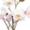 Decoratieve plant Polyester Polyethyleen Ijzer 25 x 25 x 49 cm Magnolia