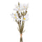 Boeket Wit Groen 37 x 20 x 41 cm Magnolia