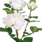 Decoratieve plant Polyester Polyethyleen Ijzer Roze 27 x 27 x 38 cm