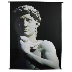 HD Collection - Wandkleed David Velvet Black