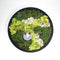 Hortus - Schilderij van mos arrangement Rond Dia. 27 cm