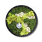 Hortus - Schilderij van mos arrangement Rond Dia. 27 cm