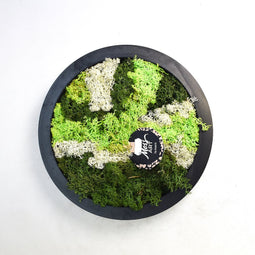 Hortus - Schilderij van mos arrangement I Rond Dia. 27 cm