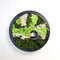Hortus - Schilderij van mos arrangement I Rond Dia. 27 cm
