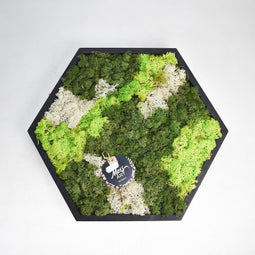 Hortus - Schilderij van mos arrangement Hexagon Dia. 38 cm