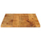 Tafelblad rechthoekig 110x50x3,8 cm massief mangohout
