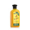 Voedende Shampoo Xpel Banana (400 ml)
