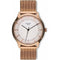 Horloge Heren Cauny CAN007