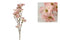 Countryfield - Dogwood tak Fiona M roze